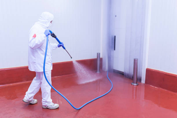 Best Roof Washing  in Pleasant Grove, OH